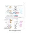 Sự trao đổi saccharide