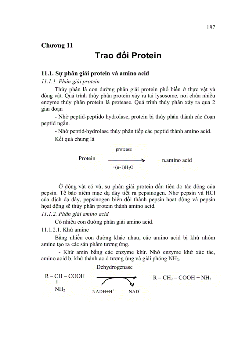 Trao đổi Protein