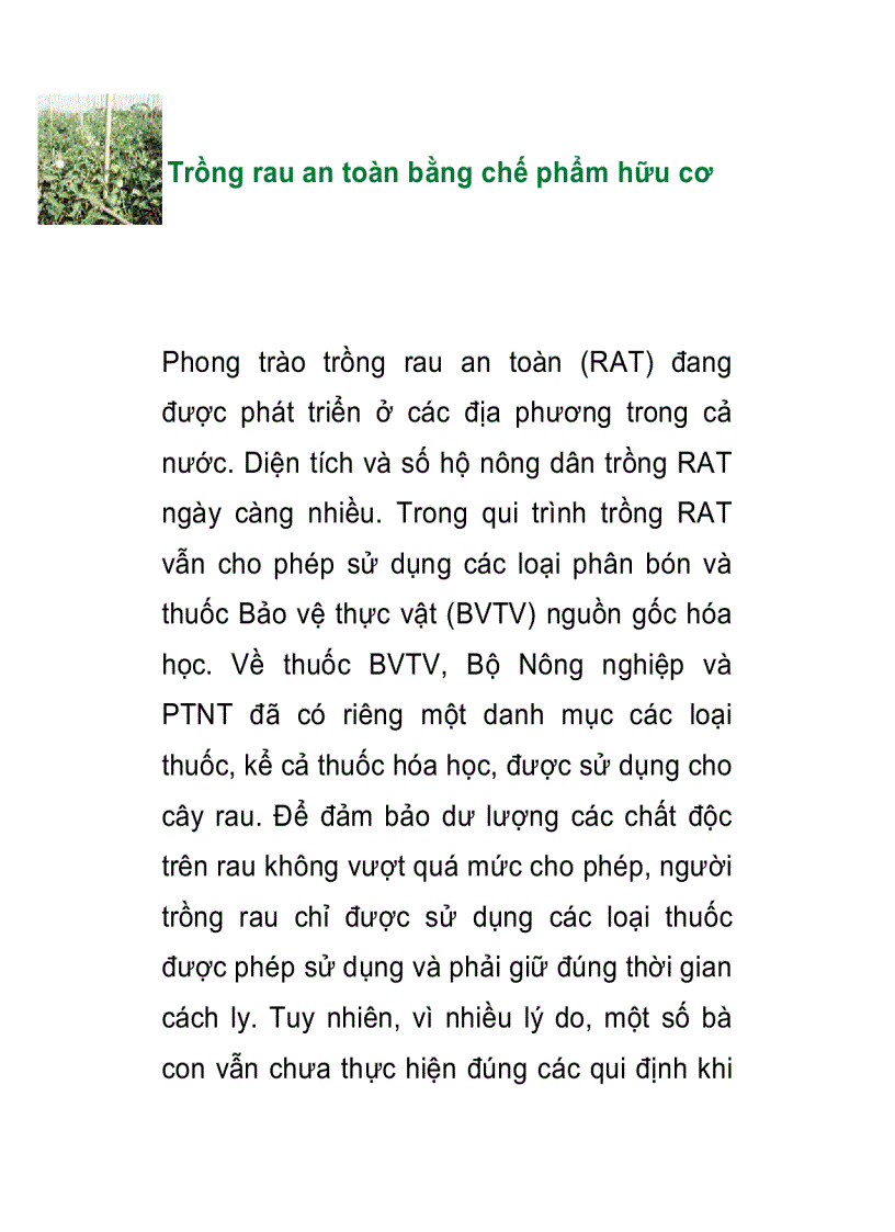 Trồng rau an toàn bằng chế phẩm hữu cơ