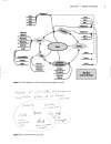 Foundations of Microsoft Expression Web The Basics and Beyond