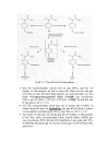 Ngộ độc acetaminophen