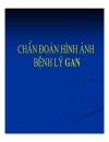 Chẩn đoán hình ảnh gan mật