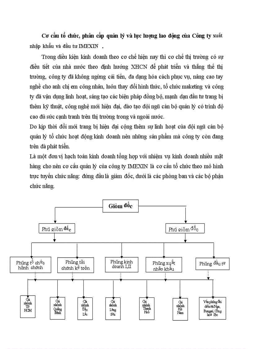 Cơ cấu tổ chức phân cấp quản lý và lực lượng lao động của Công ty xuất nhập khẩu và đầu tư IMEXIN