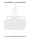 Sự hình thành peptide có hoạt tính sinh học