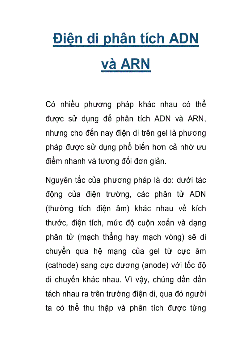 Điện di phân tích ADN và ARN