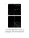 Characterization and deactivation of sulfided red mud used as hydrogenation catalyst