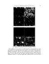 Characterization and deactivation of sulfided red mud used as hydrogenation catalyst