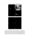 Characterization and deactivation of sulfided red mud used as hydrogenation catalyst