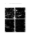 Characterization and deactivation of sulfided red mud used as hydrogenation catalyst