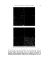 Characterization and deactivation of sulfided red mud used as hydrogenation catalyst