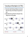 Thông tin di động GSM 2G