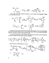 Hóa học các hợp chất dị vòng