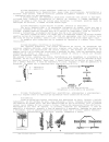 Sinh học đại cương 2 Biologia geral 2