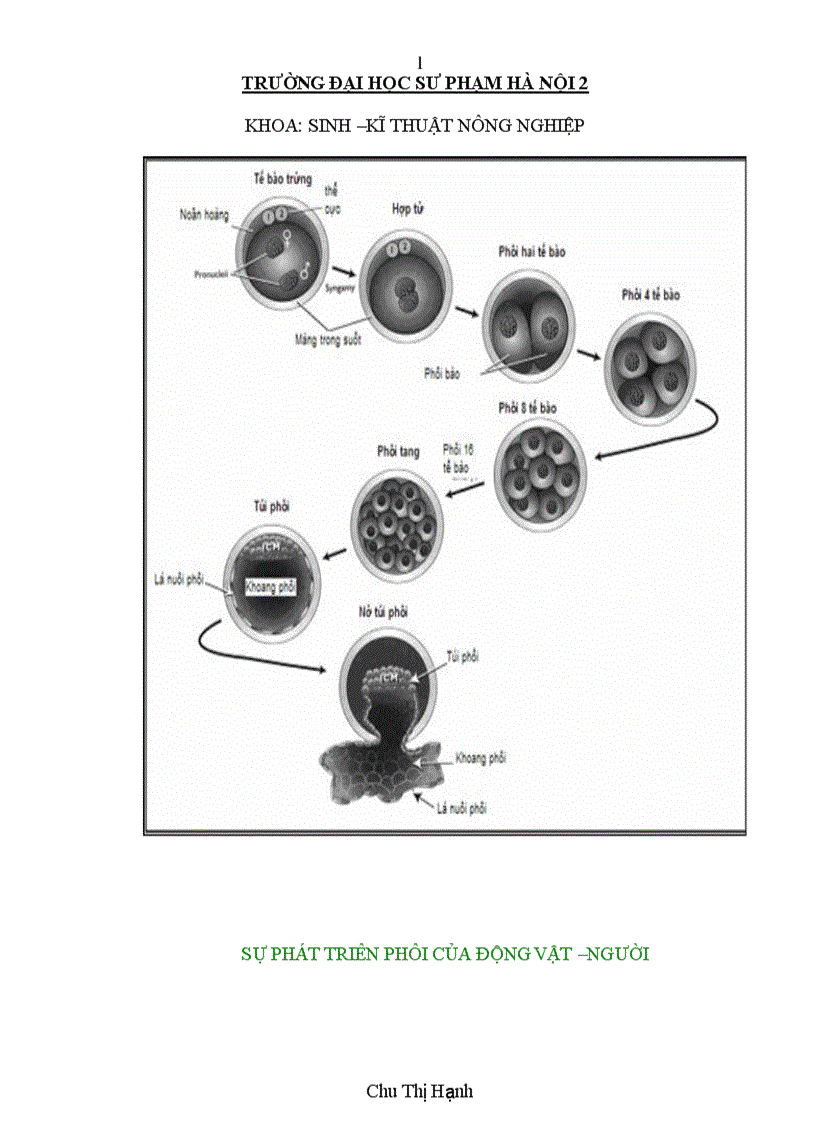 Giáo án phát triển phôi