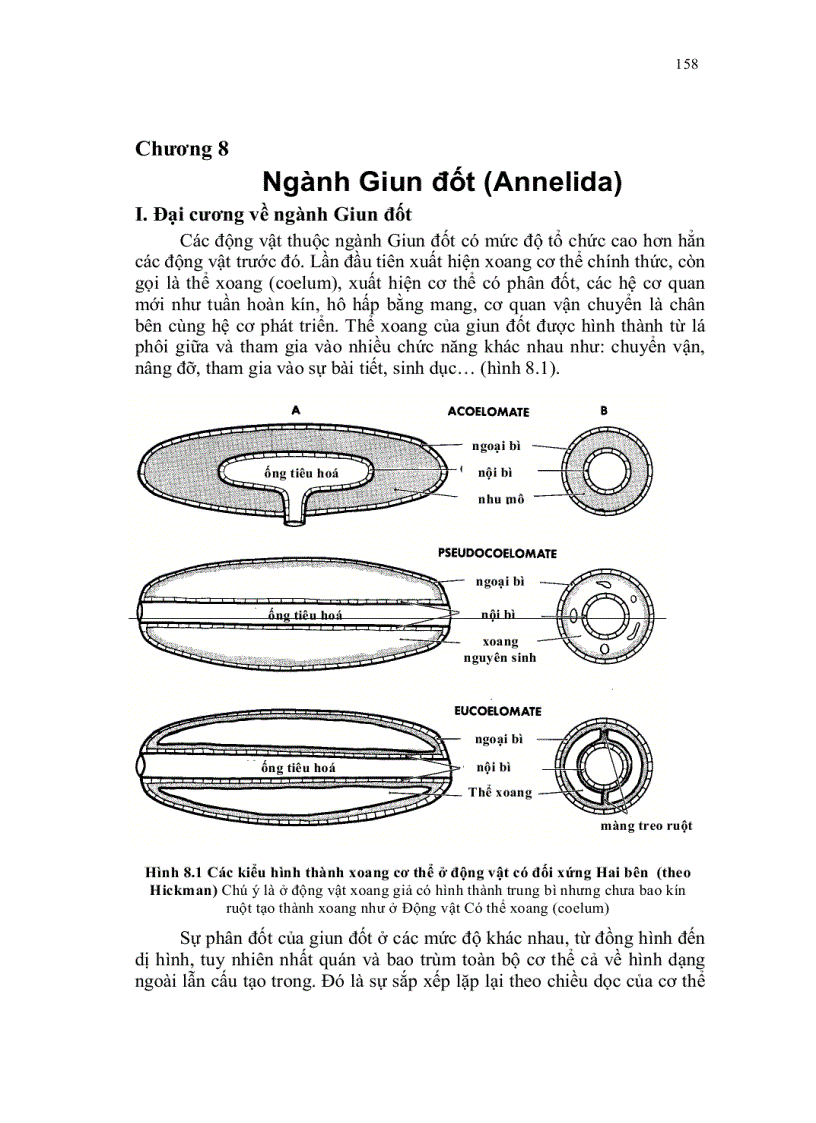 Ngành giun đốt