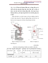 Thực tập vi sinh cơ sở