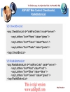ASP NET Web Control Checkbox RadioButton