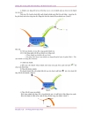 Hướng dẫn sử dụng imindmap