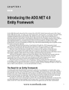 Pro Entity Framework 4 0