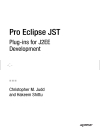 Pro Eclipse JST Plug ins for J2EE Development