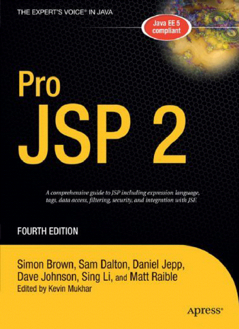 Pro JSP 2