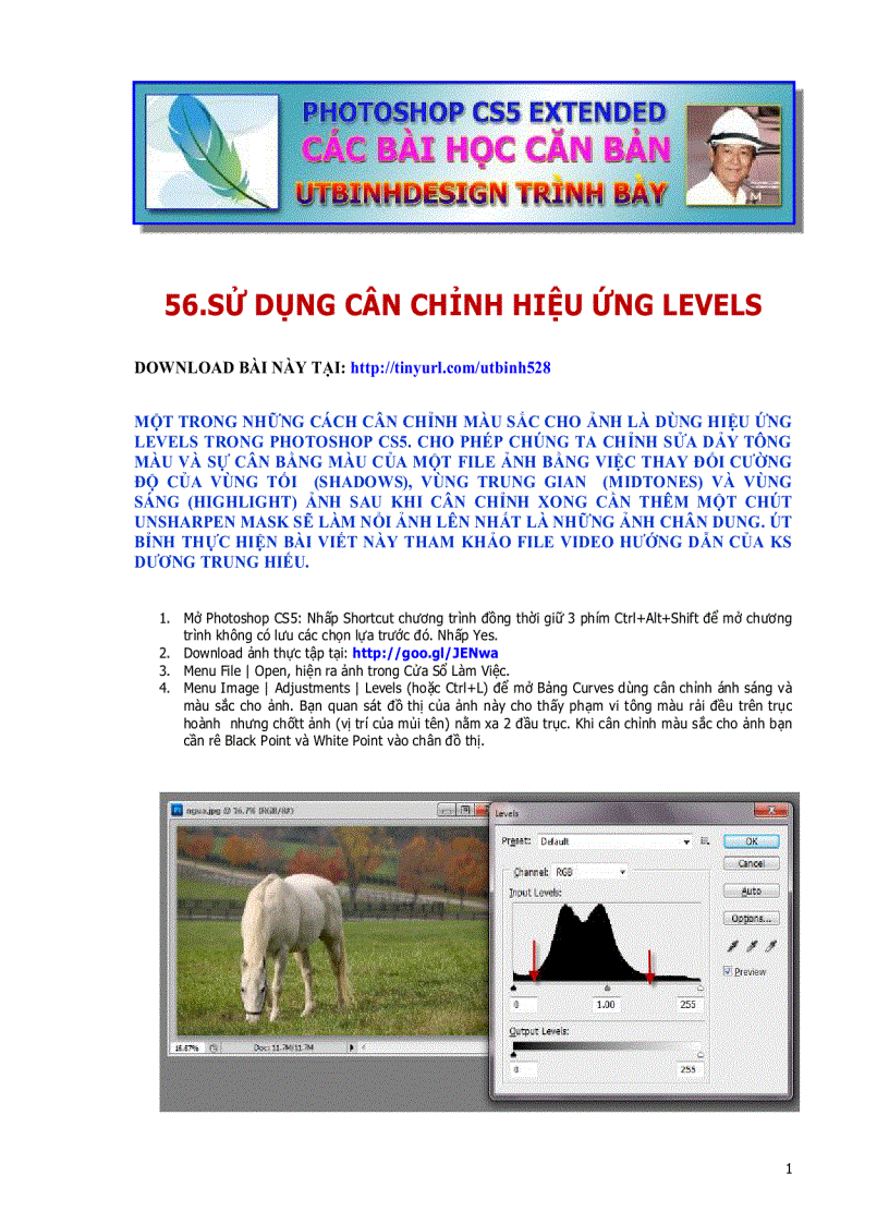 Sử dụng cân chỉnh hiệu ứng levels