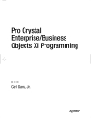 Pro Crystal Enterprise Business Objects XI Programming