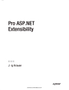 Pro ASP NET Extensibility