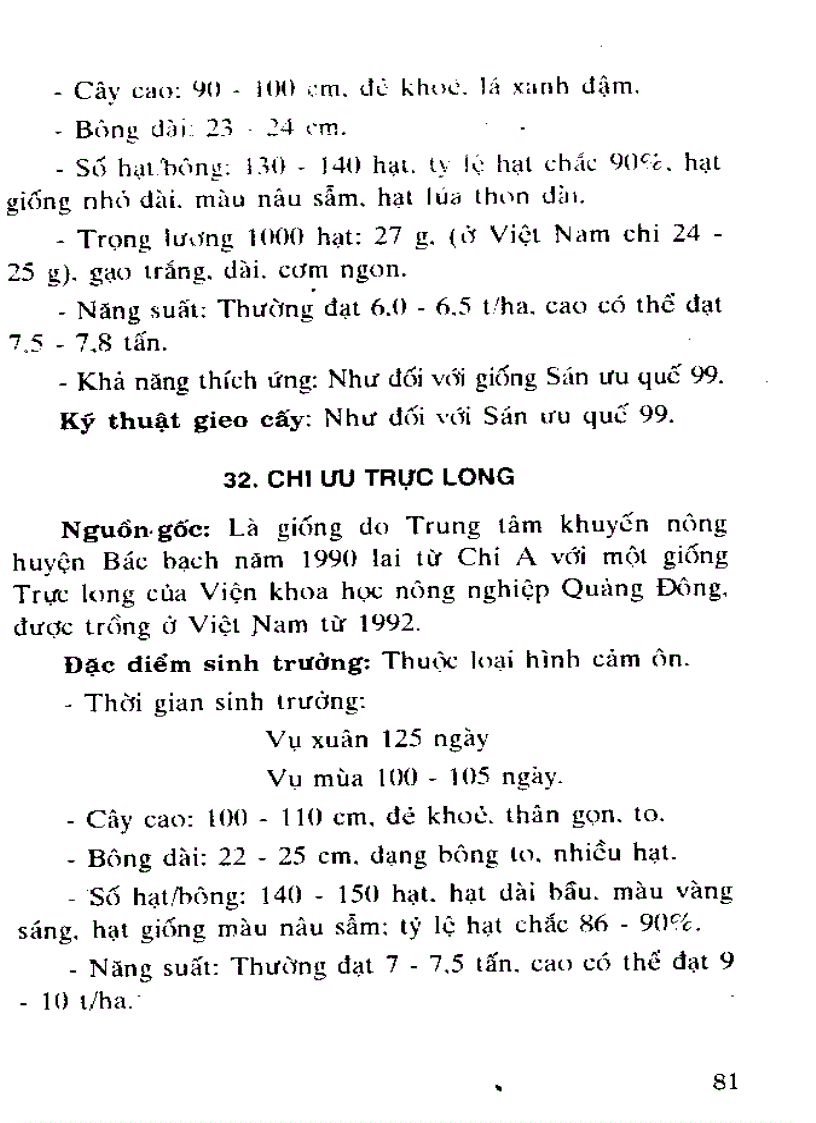 Giống lúa lai Trung Quốc và kỹ thuật gieo trồng