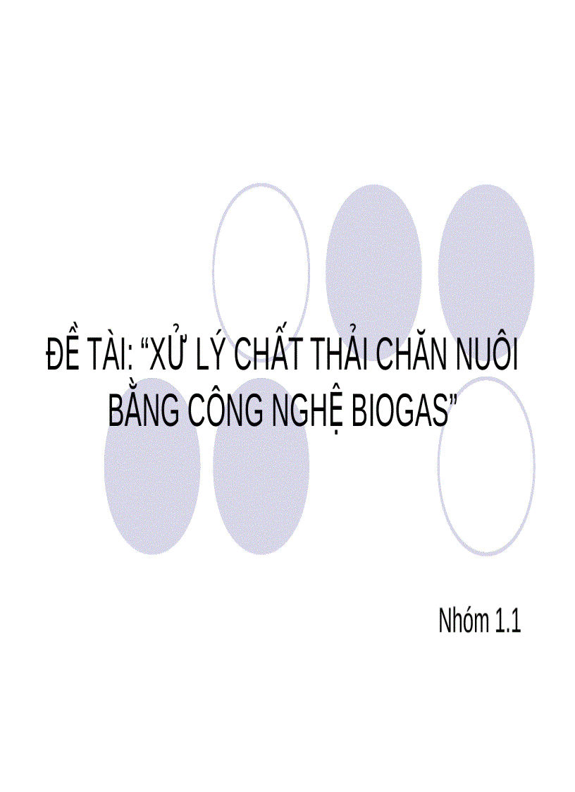 Đề tài xử lý chất thải chăn nuôi bằng công nghệ biogas