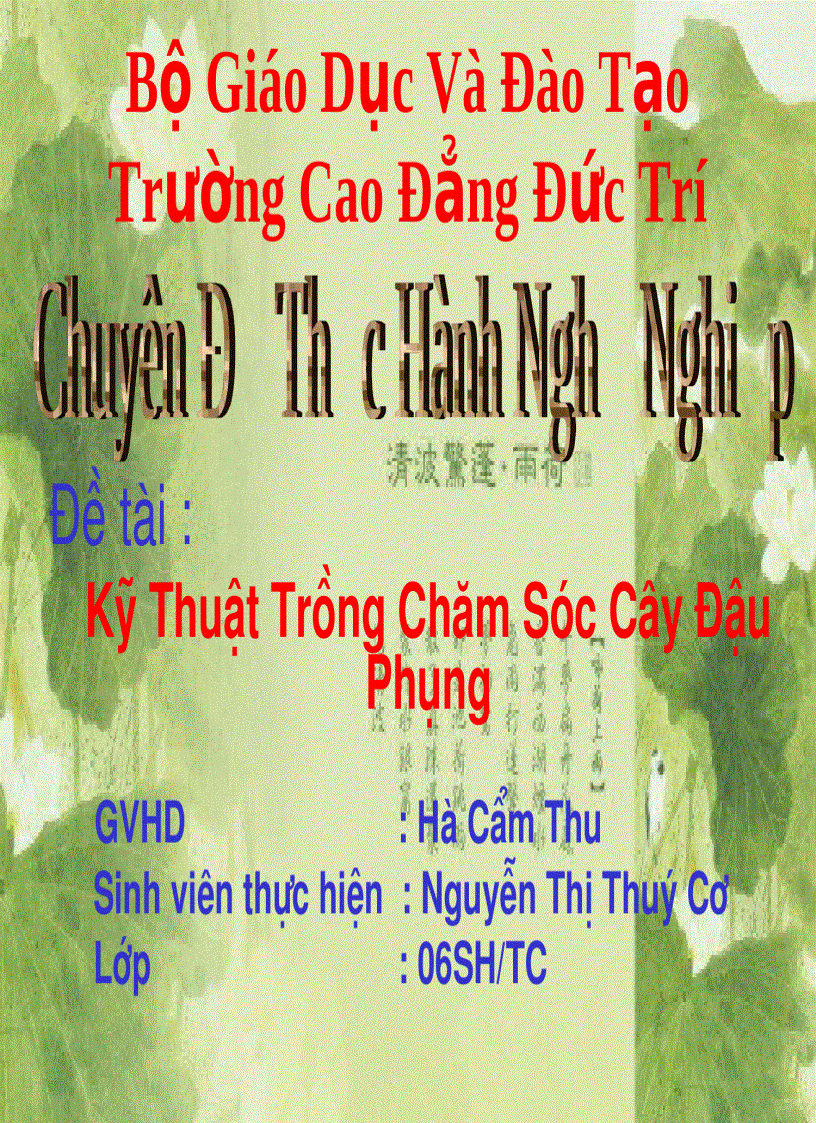 Kỹ Thuật Trồng Chăm Sóc Cây Đậu Phụng