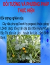 Kỹ Thuật Trồng Chăm Sóc Cây Đậu Phụng