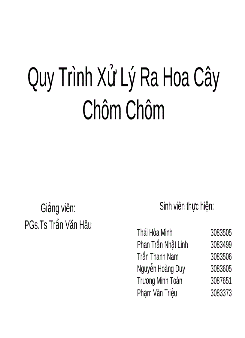 Quy trình xử lý ra hoa cây chôm chôm