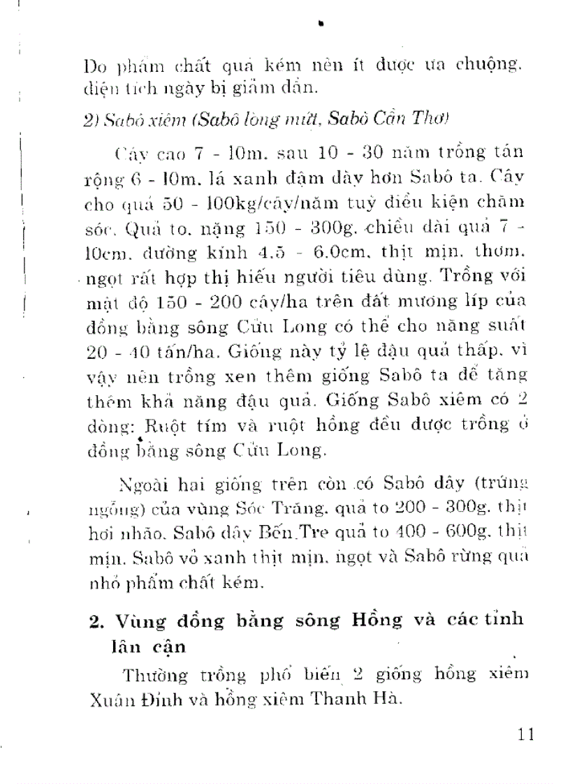 Kỹ thuật trồng cây hồng xiêm