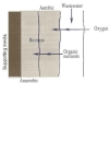 Hệ thống tuần hoàn recirculation system