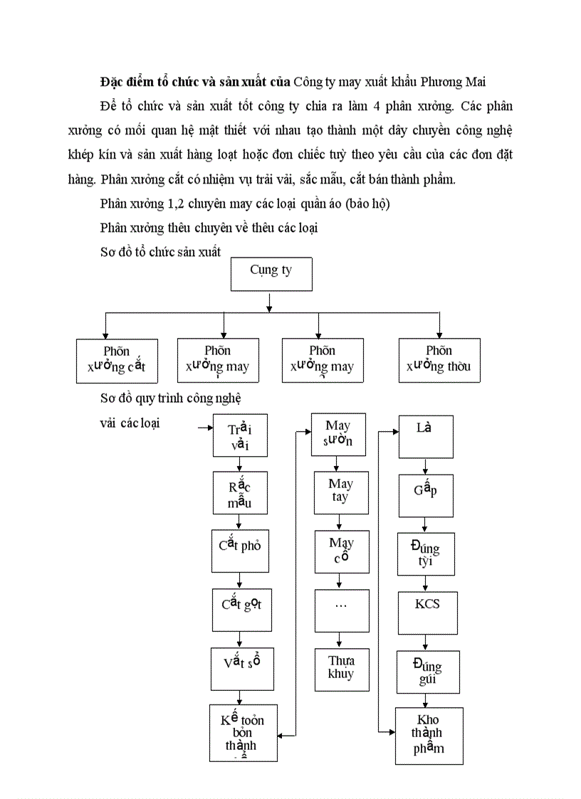 Đặc điểm tổ chức và sản xuất của Công ty may xuất khẩu Phương Mai