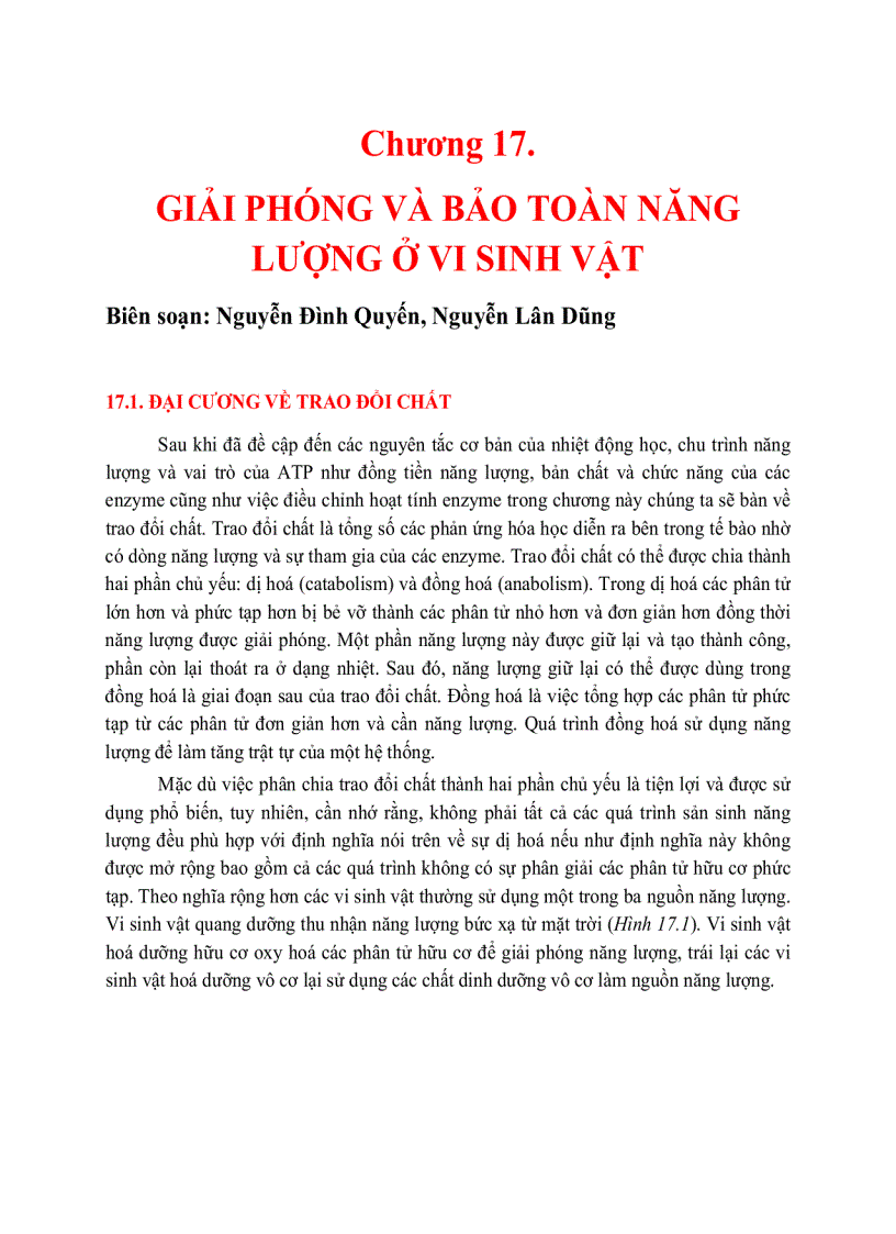 Giải phóng và bảo toàn năng lượng của cây xanh