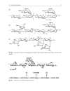 Esterification of Polysaccharides