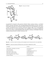 Esterification of Polysaccharides