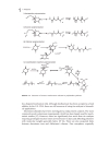 Handbook of Biodegradable Polymers