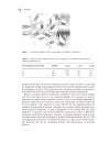 Handbook of Biodegradable Polymers