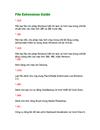 File Extensions Guide