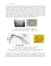 Analog Circuit Design