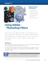 Using Adobe Photoshop Filters