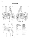 Shop manual xe máy Yamaha Virago XV 250P