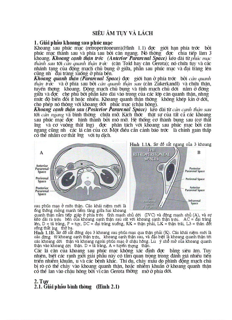 Siêu âm tụy và lách