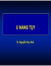 U đặc tủy u nang tụy 1