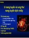 U đặc tủy u nang tụy 1