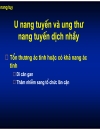 U đặc tủy u nang tụy 1