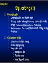 U đặc tủy u nang tụy 1